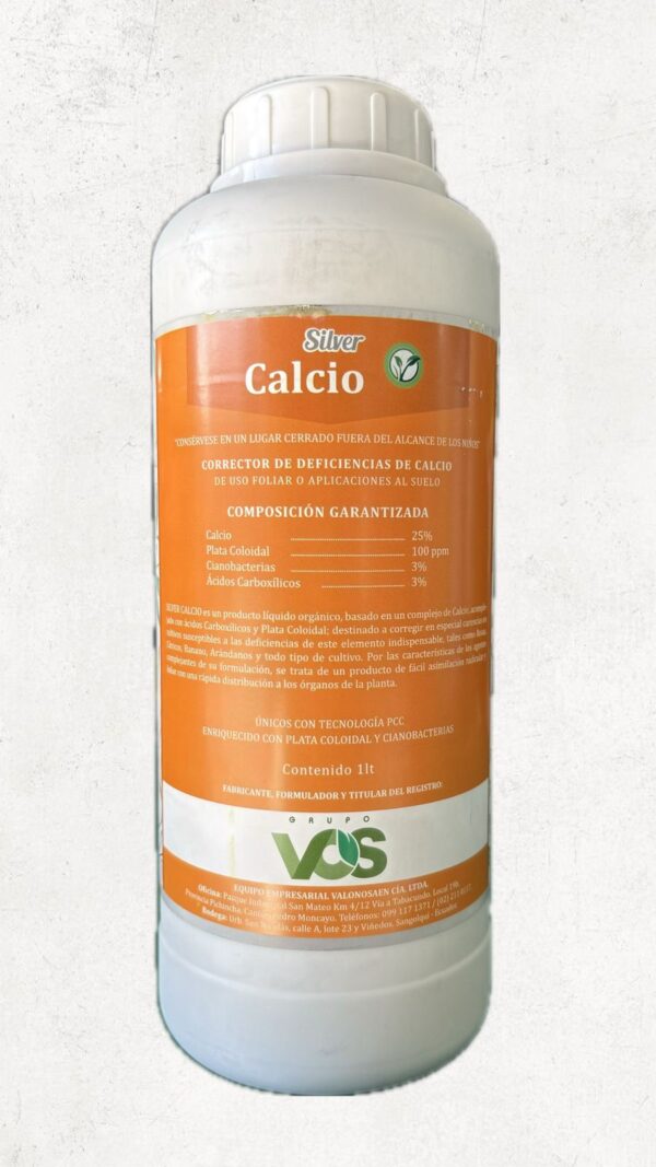 SILVER CALCIO 20% LT